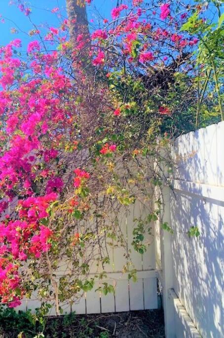 Bright And Beachy 2Bed 1Bath Home - Unit 210 Cocoa Beach Dış mekan fotoğraf